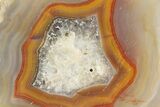 Polished Banded Laguna Agate Half - Mexico #323886-1